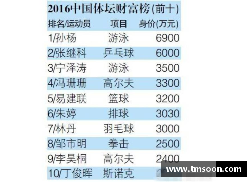 体育明星国民度评估：全面分析影响力与社会认可的关键因素