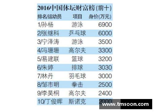 中国体育明星财富排行榜揭晓前十名资产揭秘与背后的成功故事
