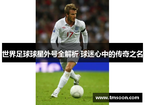 世界足球球星外号全解析 球迷心中的传奇之名
