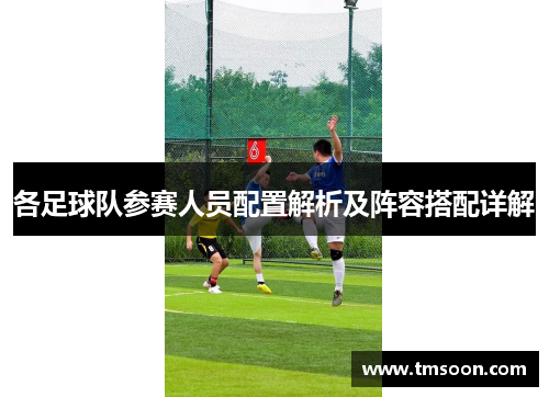 各足球队参赛人员配置解析及阵容搭配详解